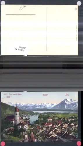 208317,Thun Totale u. d. Alpen Jungfrau Blüemlisalp u. Niesen Kt Bern