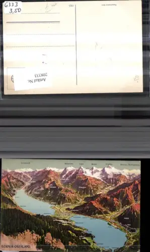 208333,Berner Oberland aus d. Vogelschau Interlaken Spiez Brienz Merligen Bönigen Grimselpaß Eiger Mönch Jungfrau Kt