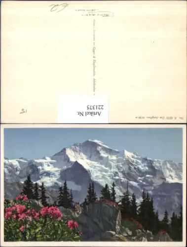221375,Die Jungfrau Berg Partie Bergkulisse Kt Bern