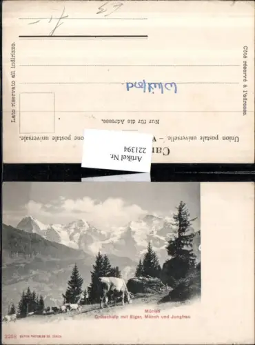 221394,Mürren Grütschalp m. Eiger Mönch u. Jungfrau Kt Bern