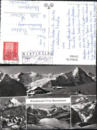 241463,Grindelwald First-Bachalpsee Bergkulisse Mehrbildkarte Kt Bern
