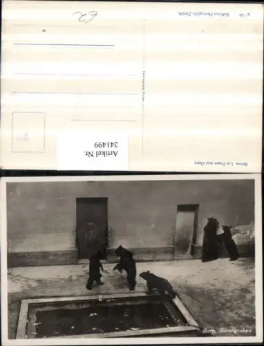 241499,Bern Bärengraben Bären