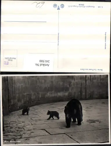 241500,Bern Bärengraben Bären