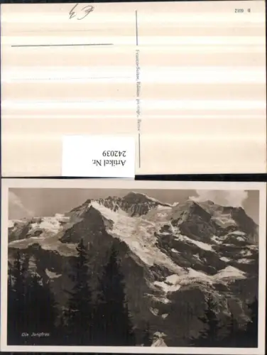 242039,Die Jungfrau Bergkulisse Kt Bern