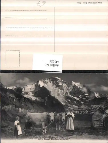 242086,Reales Getränk Mann b. Kuh melken m. Jungfrau Bergkulisse Kt Bern