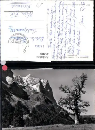 242109,Rosenlaui Reichenbachtal m. Wetterhorn Kt Bern