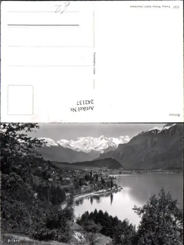 242137,Brienz Totale Kt Bern