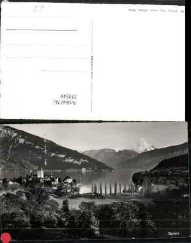 350549,Spiez Teilansicht See Bergkulisse Kt Bern