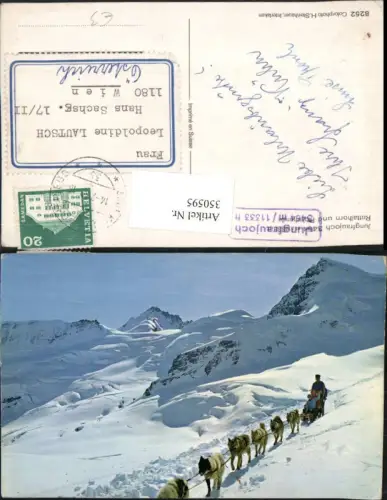 350595,Jungfraujoch b. Wengen m. Rottalhorn Polarhunde Huskys Schlittenhunde Kt Bern
