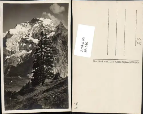 391610,Bergkulisse b. Mürren Kt Bern