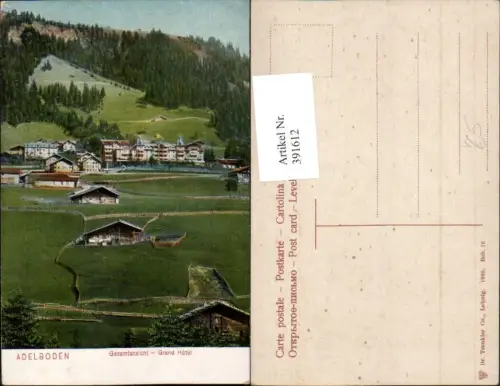 391612,Adelboden Grand Hotel pub Trenkler Co 76