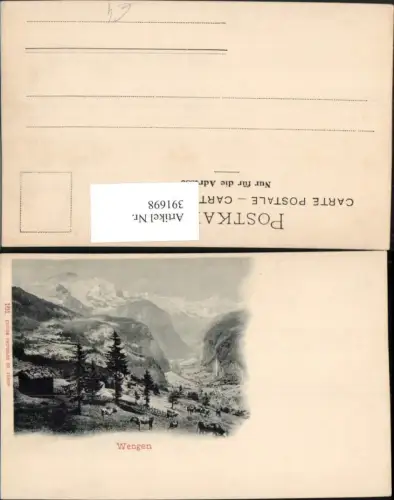 391698,Wengen Rinder Kühe Bergkulisse pub Photoglob 161 Kt Bern
