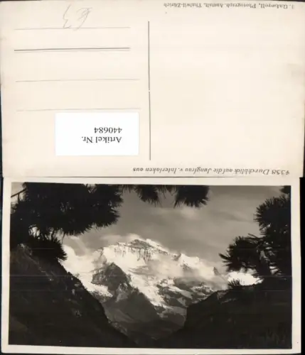 440684,Durchblick auf die Jungfrau von Interlaken Bergkulisse Kt Bern