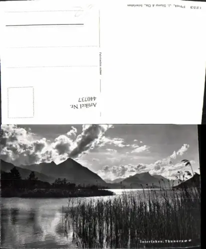 440737,Interlaken Thunersee See Bergkulisse Kt Bern