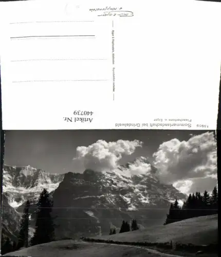 440739,Landschaft b. Grindelwald m. Fiescherhorn Bergkulisse Kt Bern