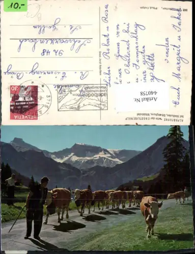 440758,Alpabfahrt von d. Engstligenalp b. Adelboden Rinder Bergkulisse Kt Bern
