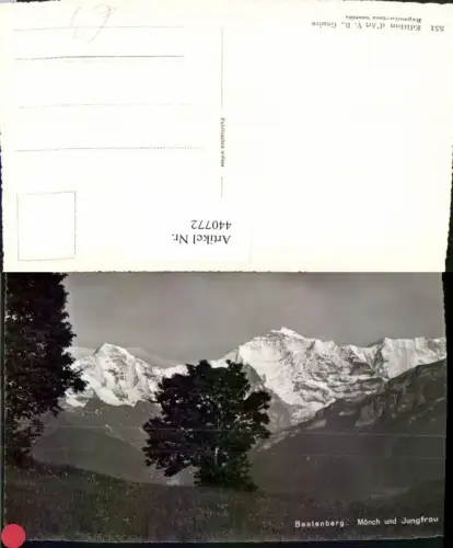 440772,Beatenberg Mönch u. Jungfrau Bergkulisse Kt Bern
