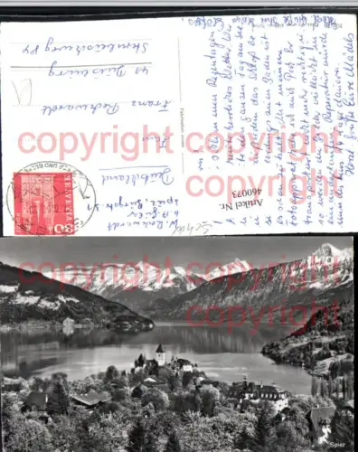 460073,Spiez Totale See Bergkulisse Kt Bern