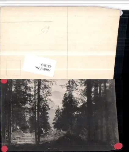 481969,Wengen Waldpromenade zur Hunnenfluh Kt Bern