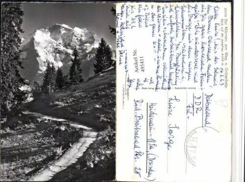 495411,Mürren Am Weg n. Grütschalp m. Jungfrau Bergkulisse Kt Bern