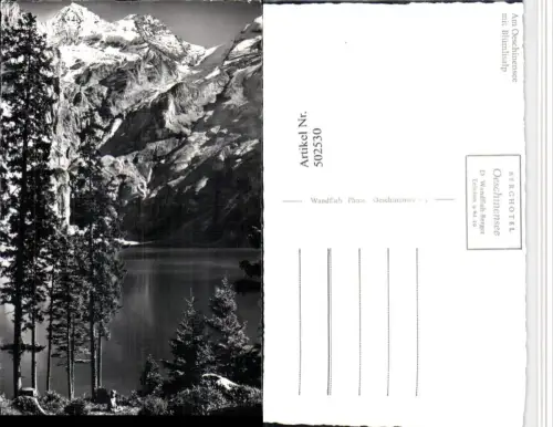502530,Oeschinensee See b. Kandersteg m. Blümlisalp Bergkulisse Kt Bern