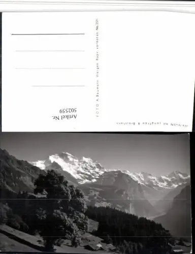 502559,Wengen m. Jungfrau u. Breithorn Bergkulisse Kt Bern
