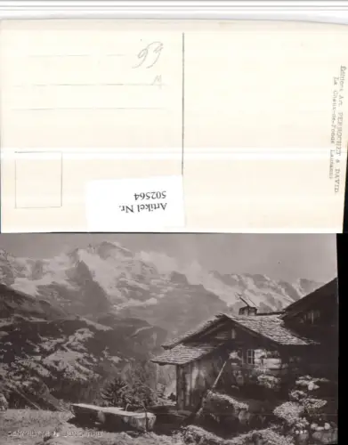 502564,Sennhütte m. Jungfrau b. Interlaken Bergkulisse Kt Bern