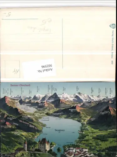 502596,Thunersee Vogelschau Thun Aeschi Interlaken Kt Bern