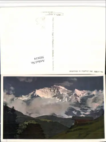 502614,Jungfrau im Abendlicht b. Interlaken Bergkulisse Kt Bern