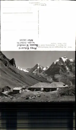 586309,Foto Ak Alp Boganggen a. d. Sefinenfurgge ob Mürren u. Stechelberg Switzerland