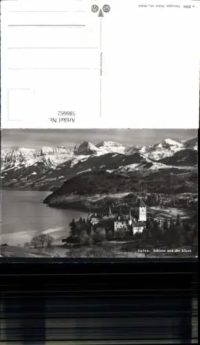 586662,Foto Ak Spiez u. d. Alpen Switzerland
