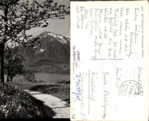 586907,Foto Ak Bei Sigriswil a. Thunersee Niesen Switzerland