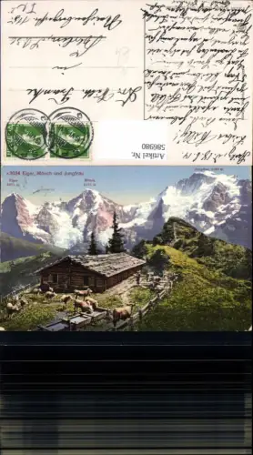 586980,Eiger Mönch u. Jungfrau Hütte Rinder Kühe i. Vordergrund Stechelberg Mürren Switzerland