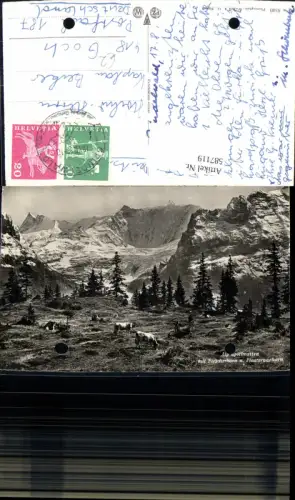 587119,Alp Spielmatten m. Fiescherhorn u. Finsteraarhorn Grindelwald Kühe Rinder Switzerland