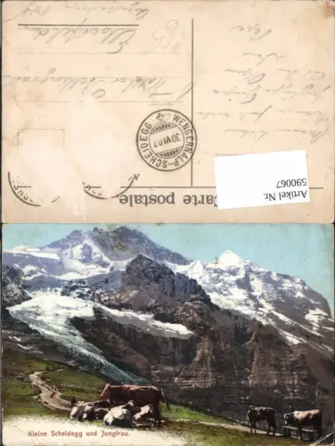 590067,Kleine Scheidegg Jungfrau Kühe Interlaken Grindelwald Kt. Bern