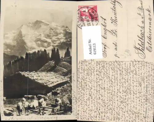 619113,Wengen Die Jungfrau Hütte m. Kühe Rinder pub H. Martin Zofingen