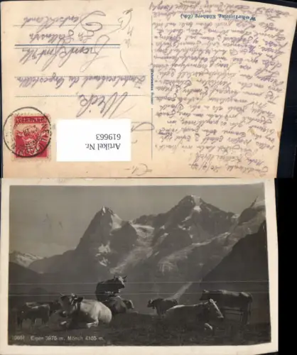 619663,Eiger u. Mönch Rinder Kühe Grindelwald