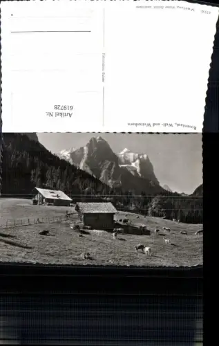 619728,Foto Ak Rosenlaui Well- u. Wetterhorn b. Meiringen Rinder Kühe