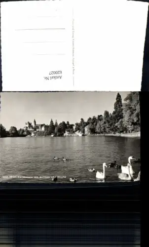 620027,Foto Ak Thun Aarebassin m. Schloss u. Kirche