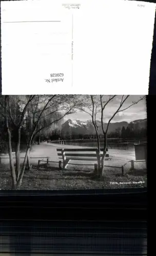 620028,Foto Ak Thun Aarequai Niesen