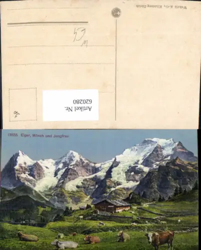 620280,Eiger Mönch u. Jungfrau Rinder Kühe b. Grindelwald
