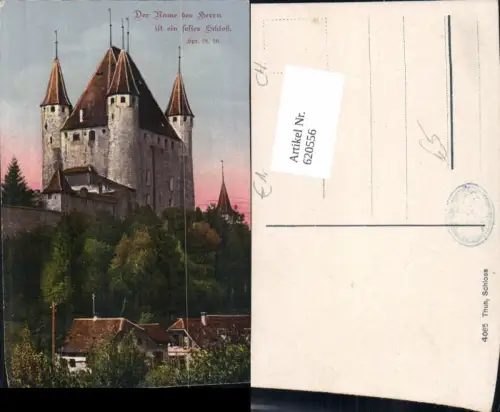 620556,Thun Schloss