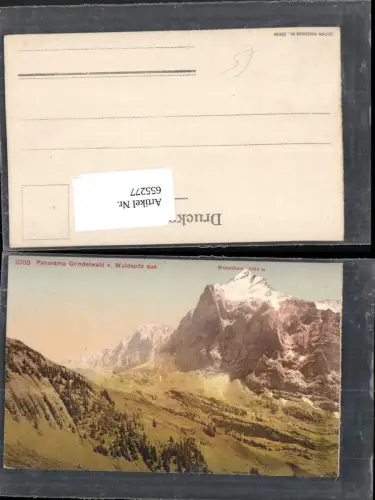 655277,Panorama Grindelwald v. Waldspitze aus