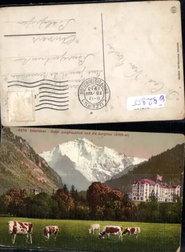 692955 Interlaken Hotel Jungfraublick Jungfrau Kühe