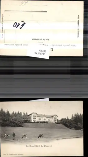 207504,Le Grand Hotel de Chaumont Kt Freiburg