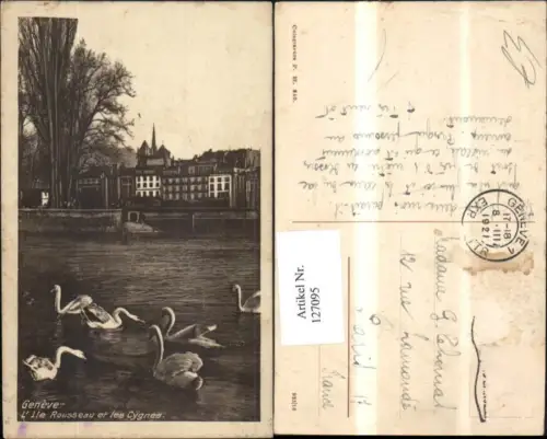 127095,Genf Geneve Ansicht m. Schwänen 1921