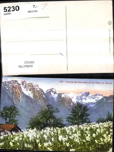 200262,Geneve Genf Champs de Narcisses et les Alpes de Savoie