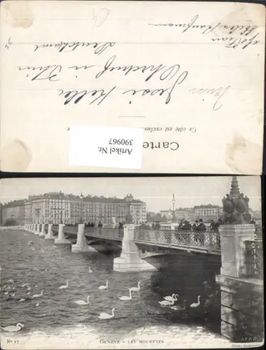 390967,Geneve Genf Les Mouettes Brücke Schwäne Möwen