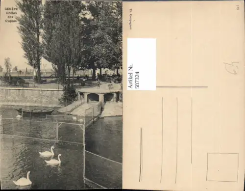 587324,Geneve Genf Enclos des Cygnes Schwan Switzerland