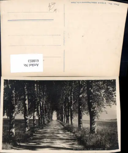618853,Foto Ak Au bord du Lac Leman Allee Bäume Birken Genfersee b. Genf